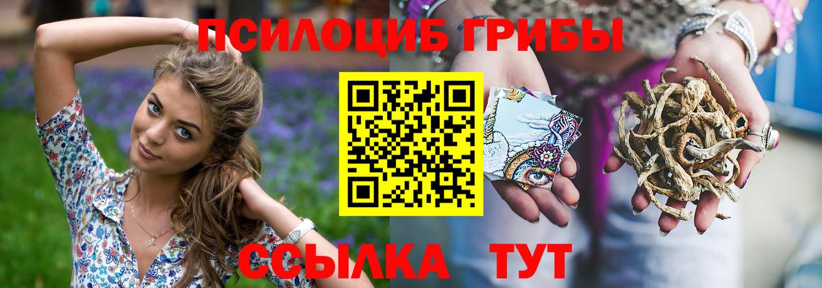 Псилоцибиновые грибы Magic Shrooms  где купить наркотик  Миллерово  Вход с VPN 