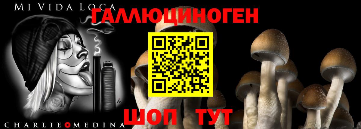 Псилоцибиновые грибы Psilocybe Миллерово